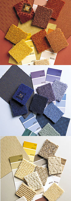 Carpet Colour Trends
